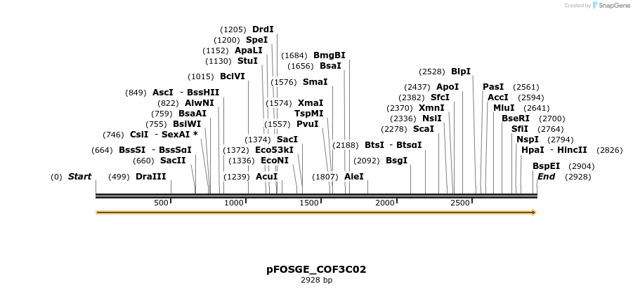 126893_map