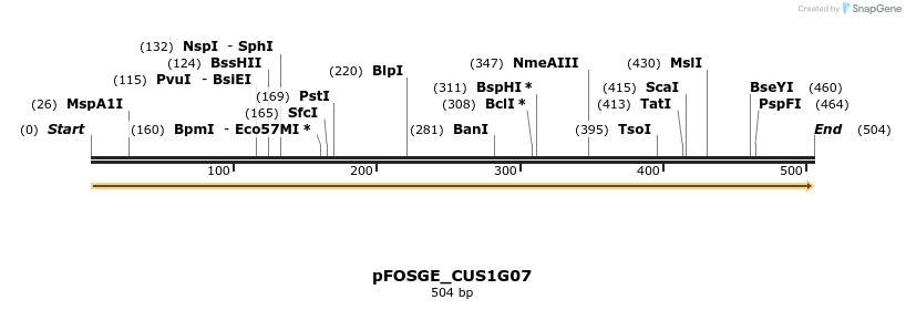 126895_map