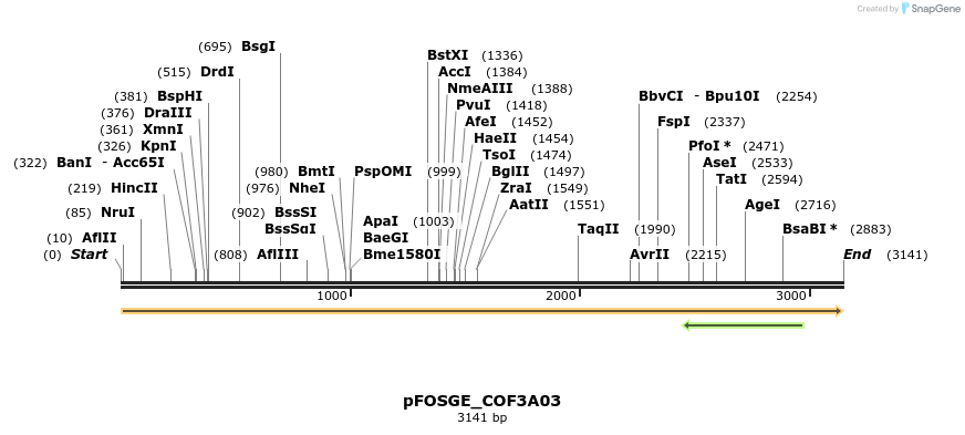 126899_map