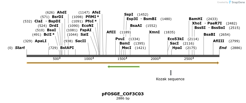 126901_map