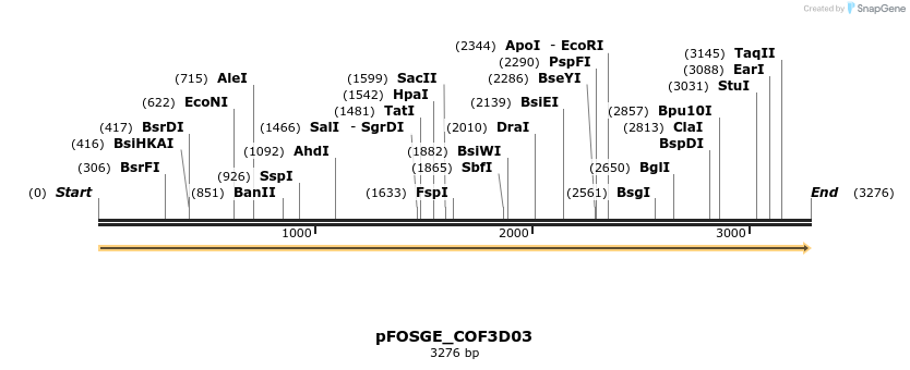126902_map