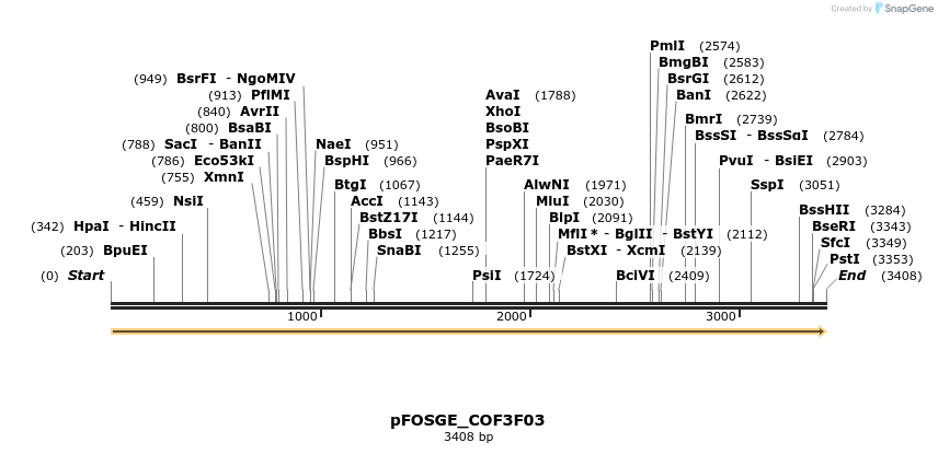 126904_map
