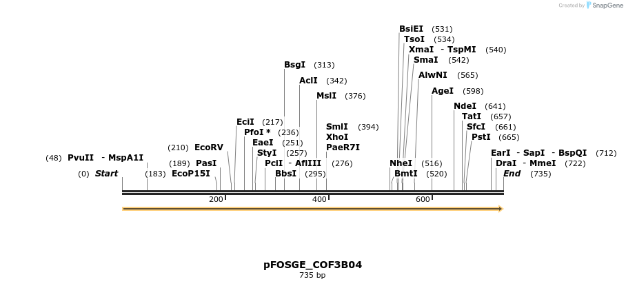 126907_map