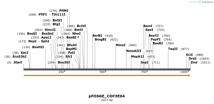 126910_map