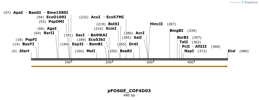 126911_map