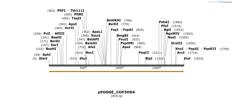 126913_map