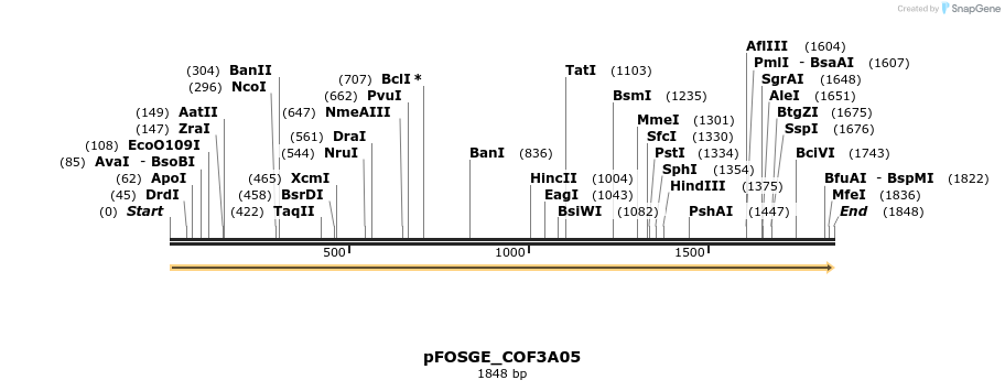 126914_map