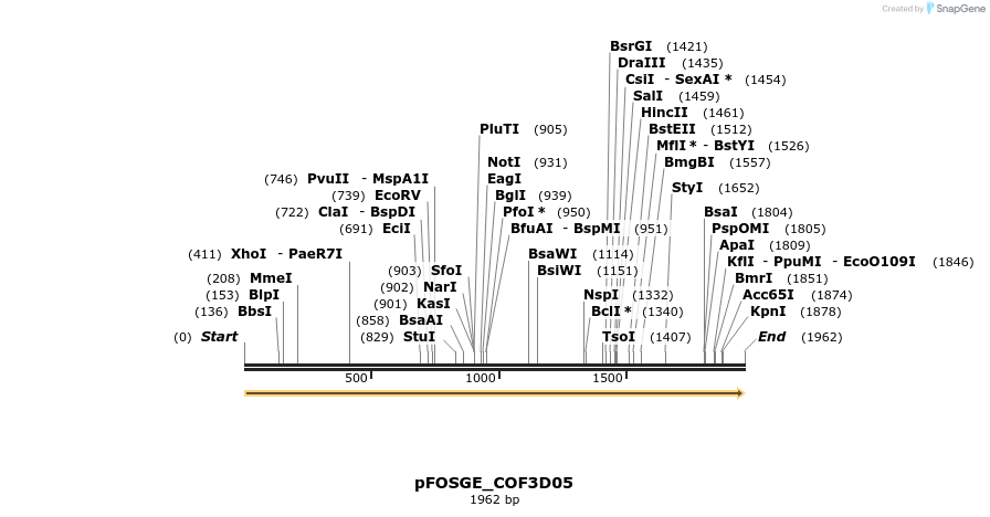 126916_map