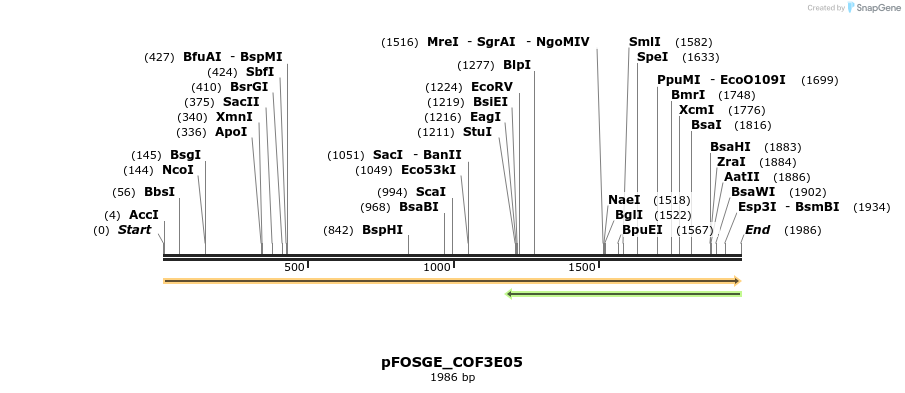 126917_map