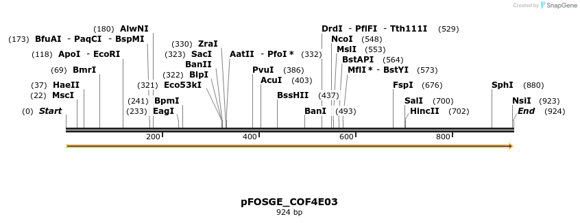 126918_map