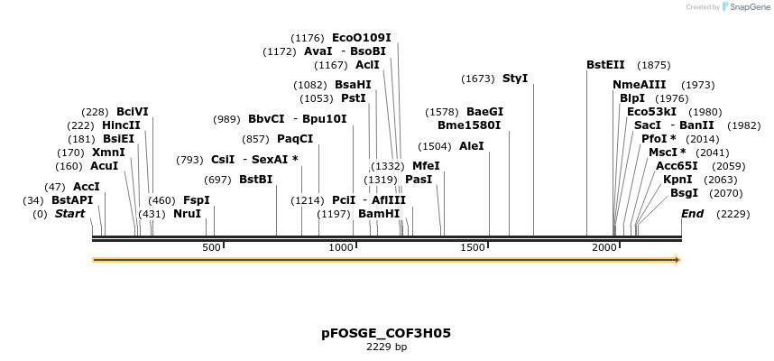 126919_map