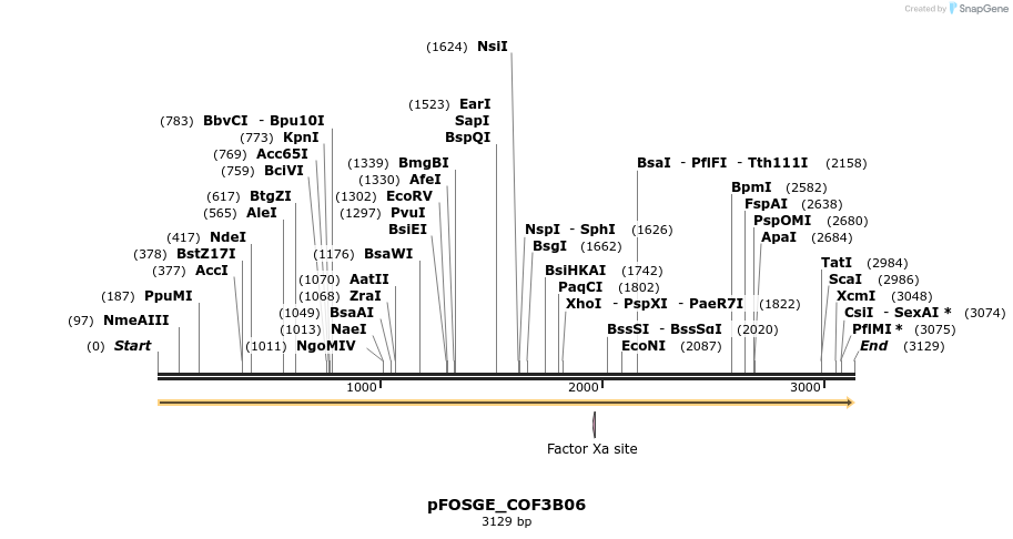 126920_map