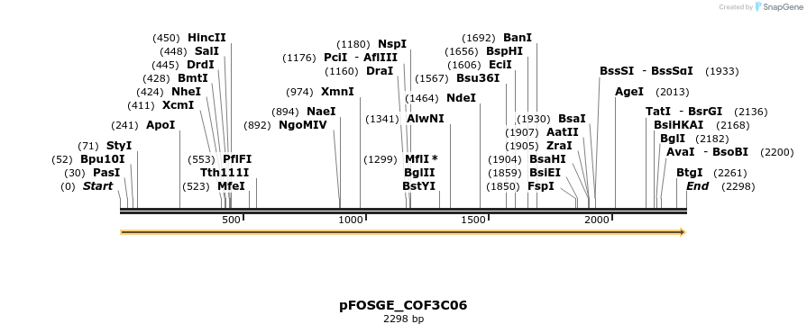 126921_map