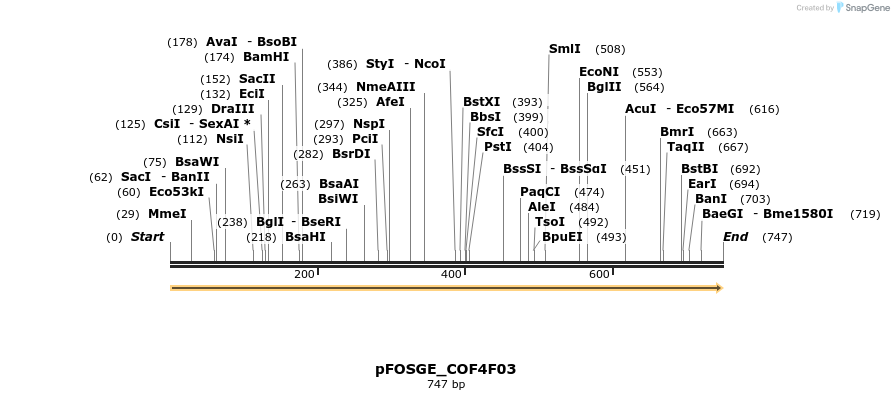 126923_map