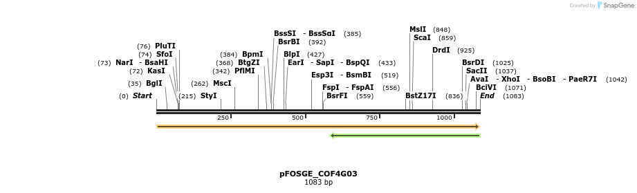 126926_map
