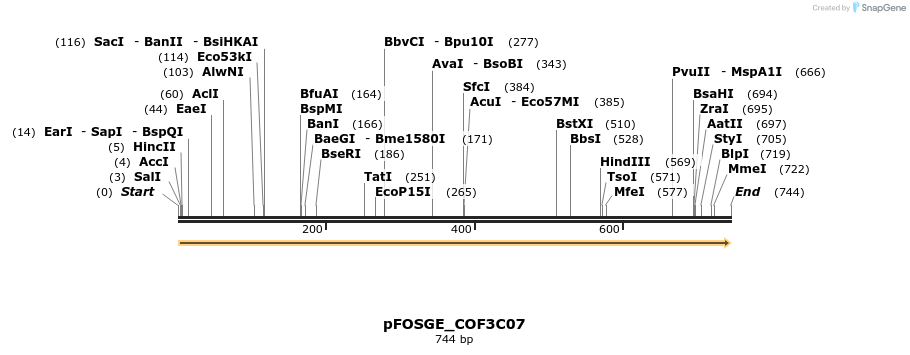 126927_map