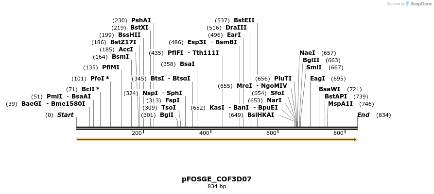 126928_map