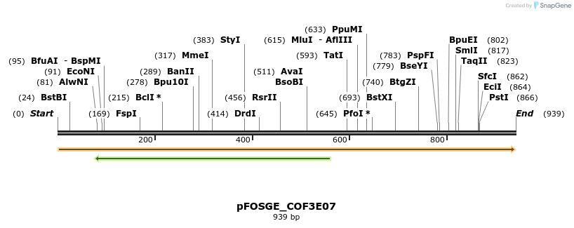 126929_map