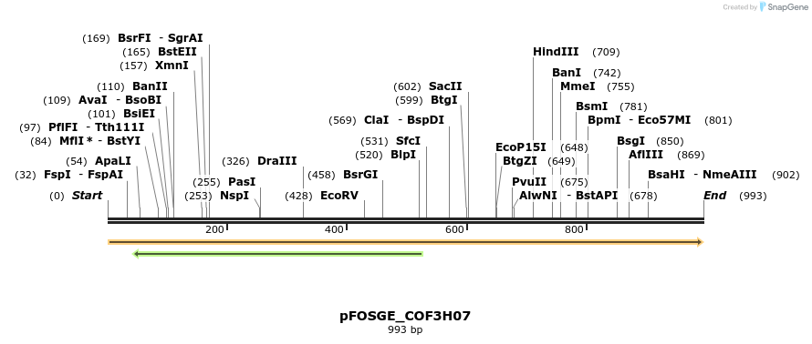126931_map