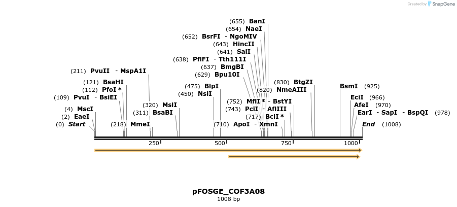 126932_map