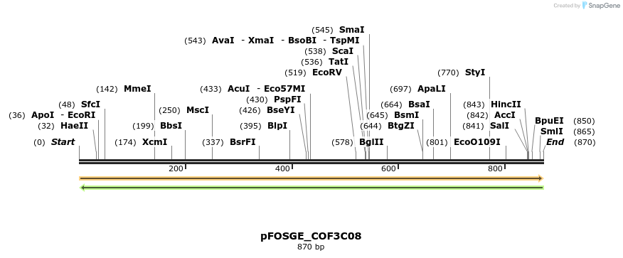 126933_map