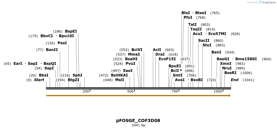 126934_map