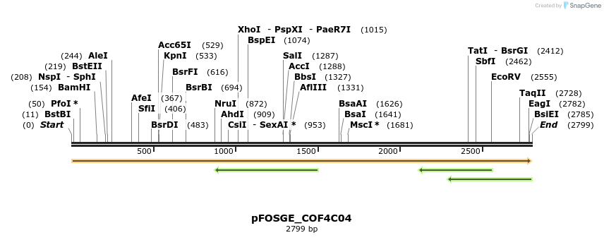 126935_map