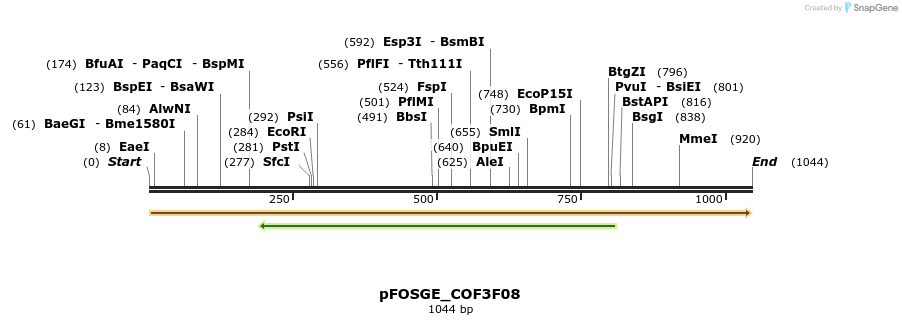 126936_map