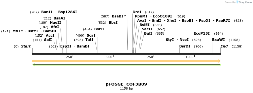 126940_map