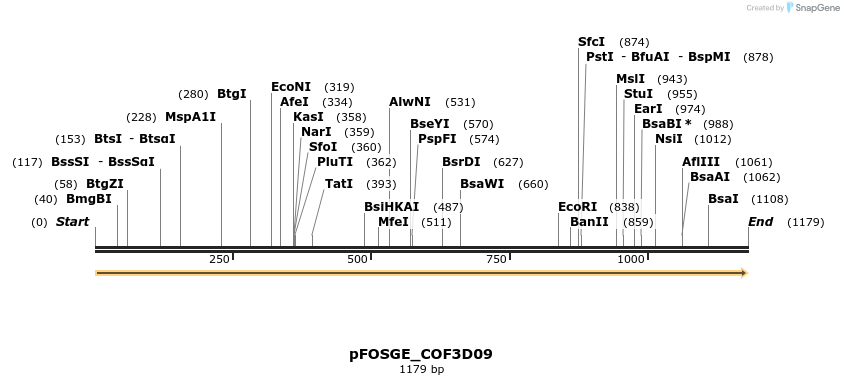 126942_map