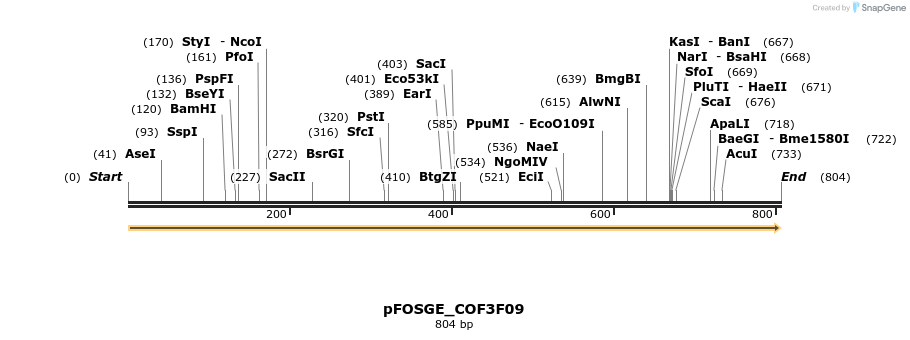 126943_map