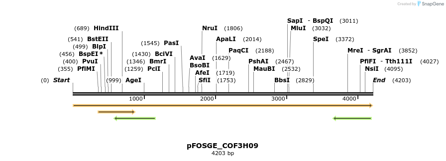 126945_map