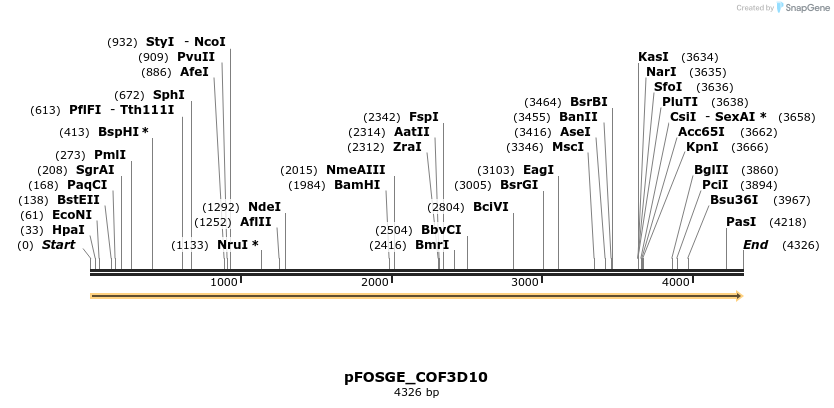 126946_map