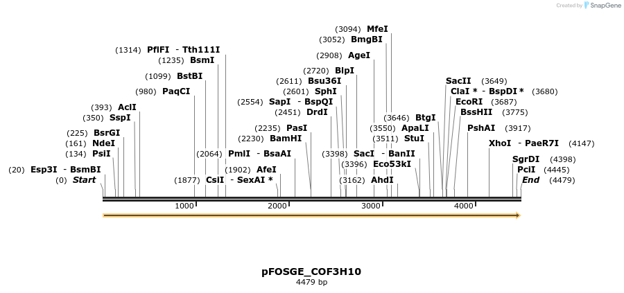 126948_map