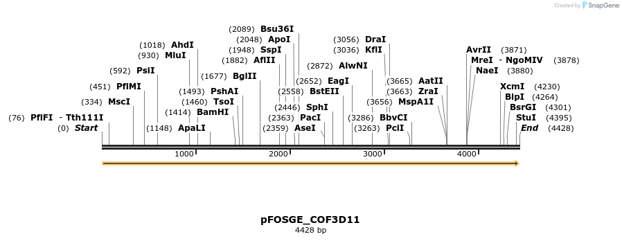 126949_map