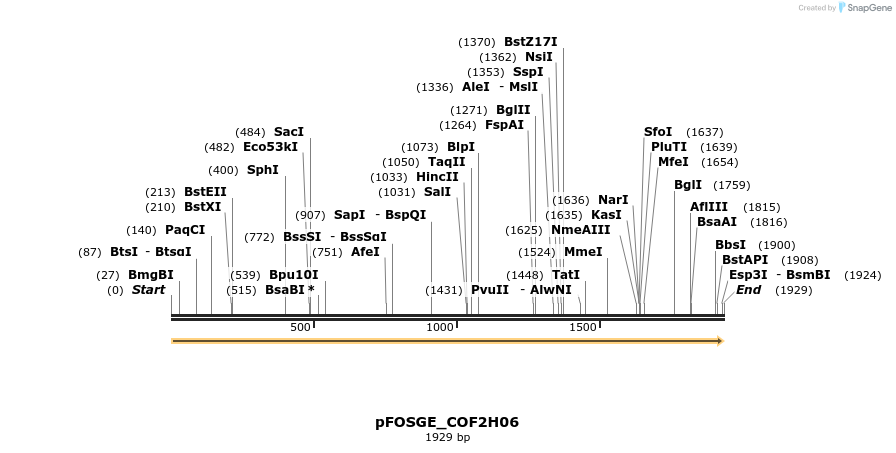 126950_map