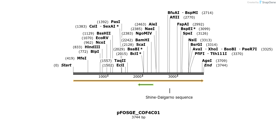 126951_map
