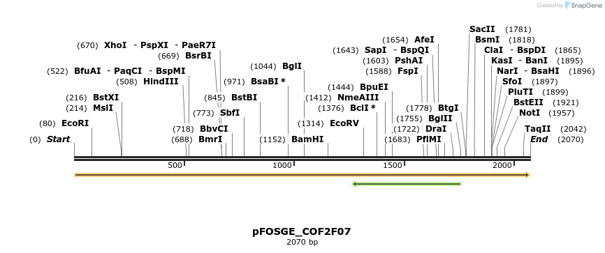 126952_map