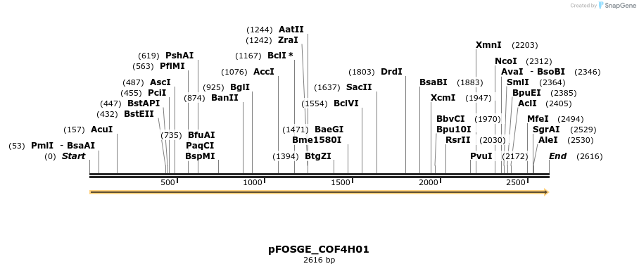 126954_map