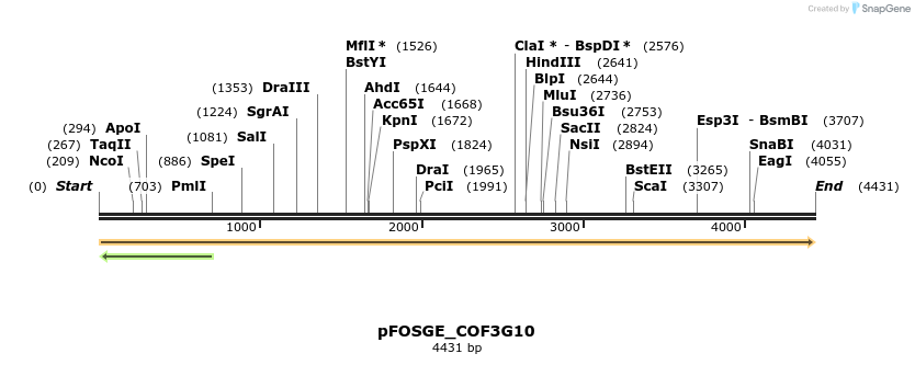 126955_map