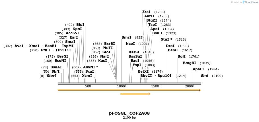 126956_map