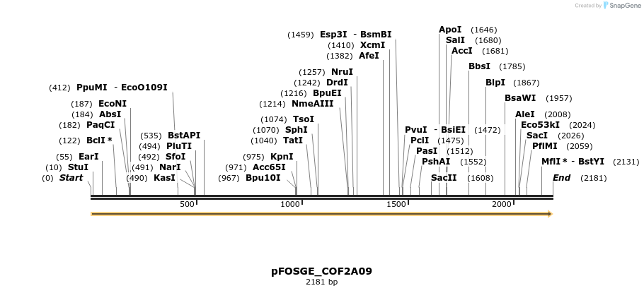126957_map