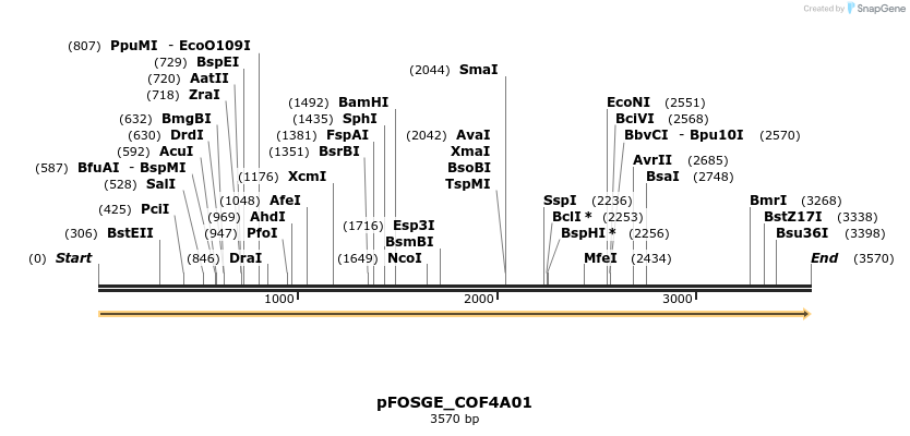 126958_map