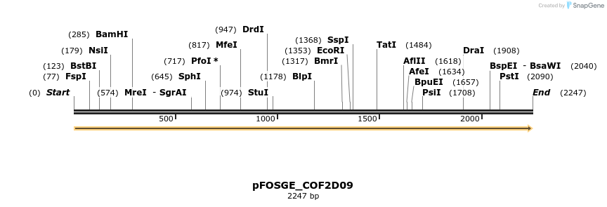 126959_map