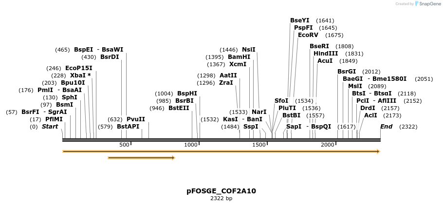126961_map