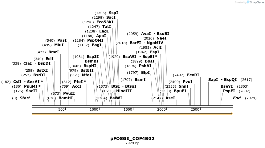 126964_map