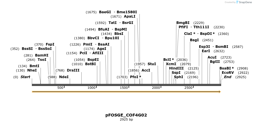 126967_map
