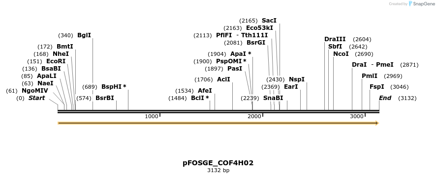 126968_map