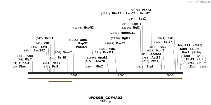 126969_map
