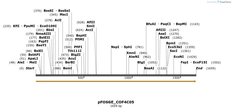 126974_map